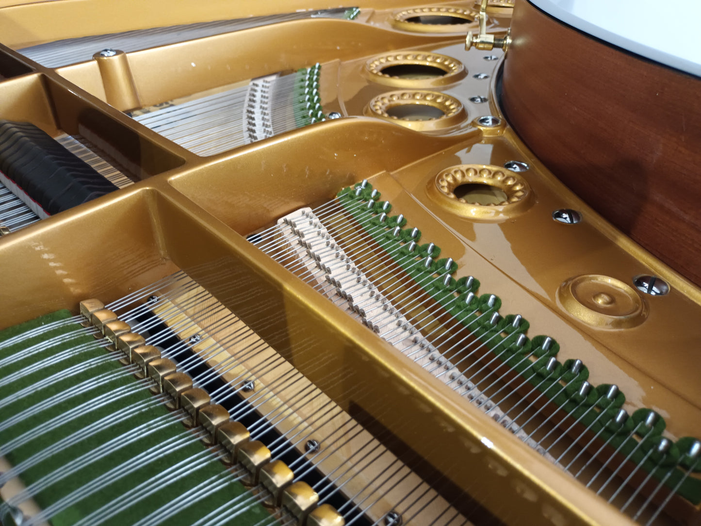 1927 Bechstein Model M (Reconditioned/88 Keys)