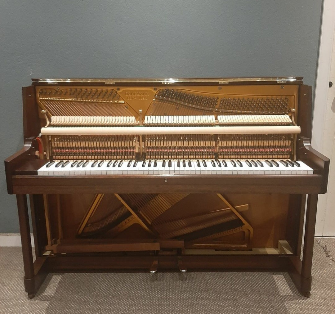 Danemann (Complete Restoration)