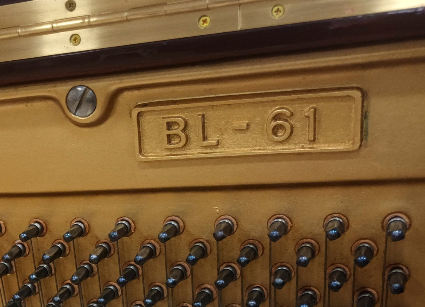 Kawai BL61 with Silent System