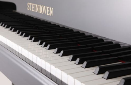 Steinhoven SG148 (Polished Ebony)