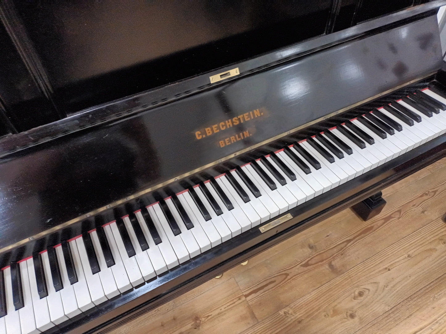Bechstein (1894)