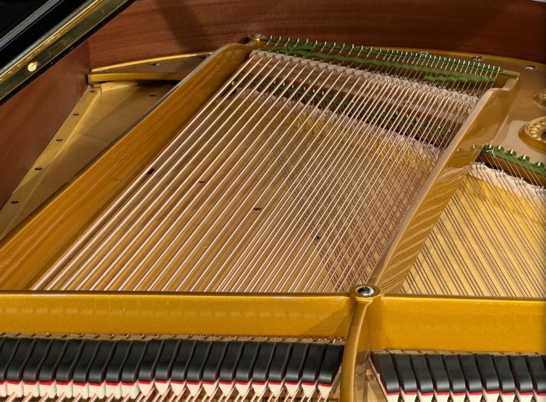 1927 Bechstein Model M