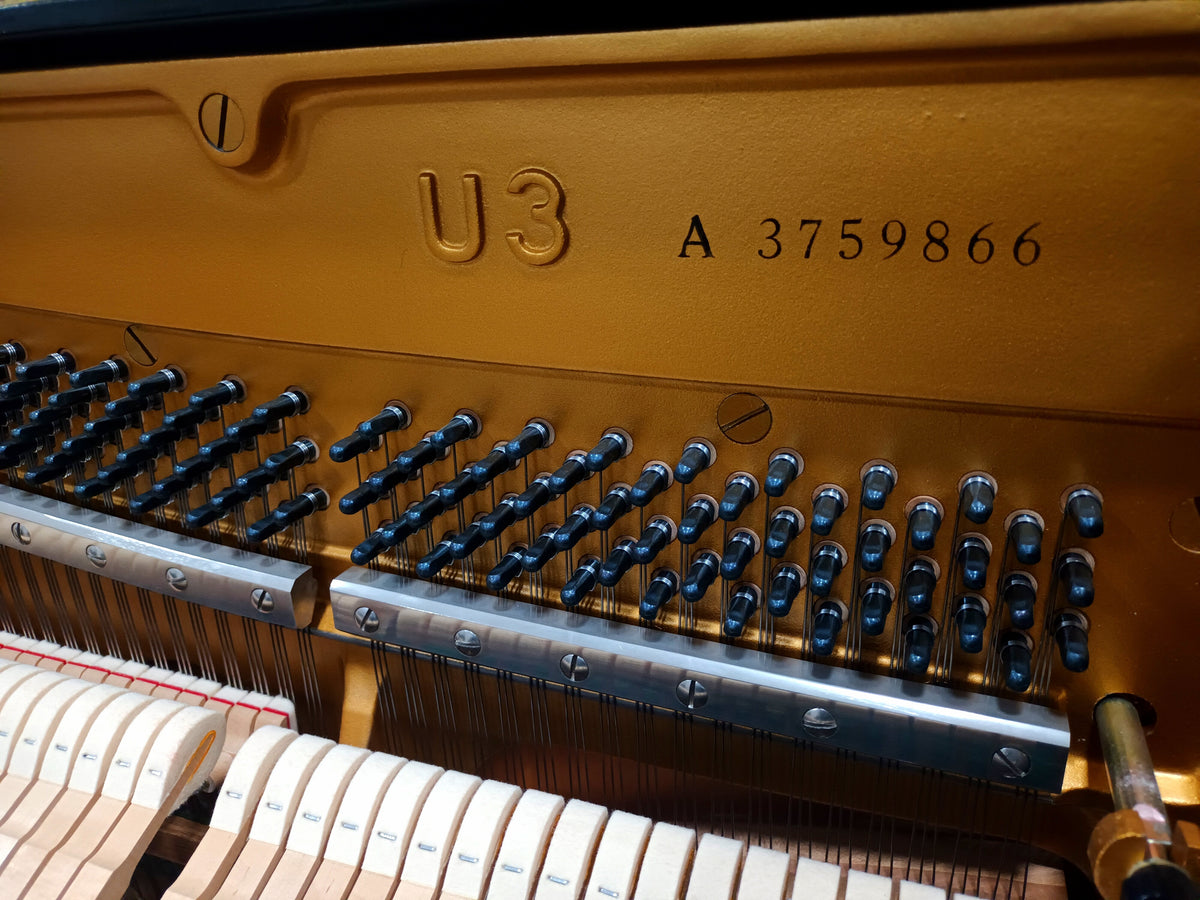 Yamaha U3A (RESERVED)