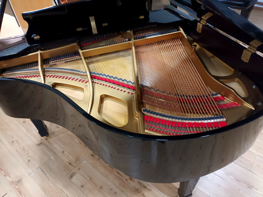 Carlmann (Beginner to Advanced)