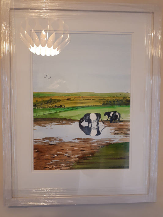 Leitrim Wetlands (SOLD)