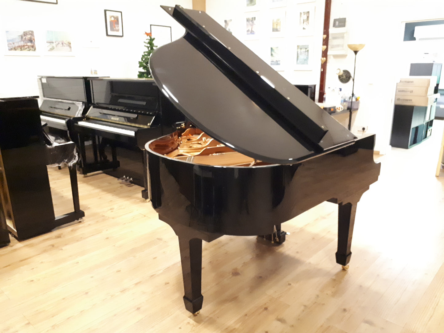 New Danemann DG-158