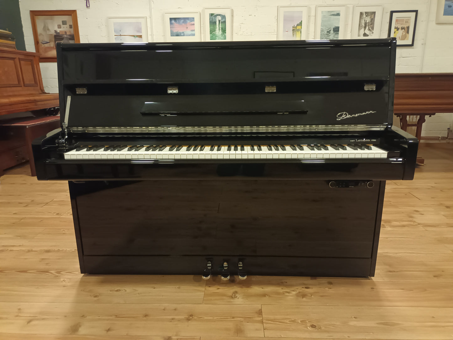 Danemann 110 Silent System piano for sale dublin, ireland