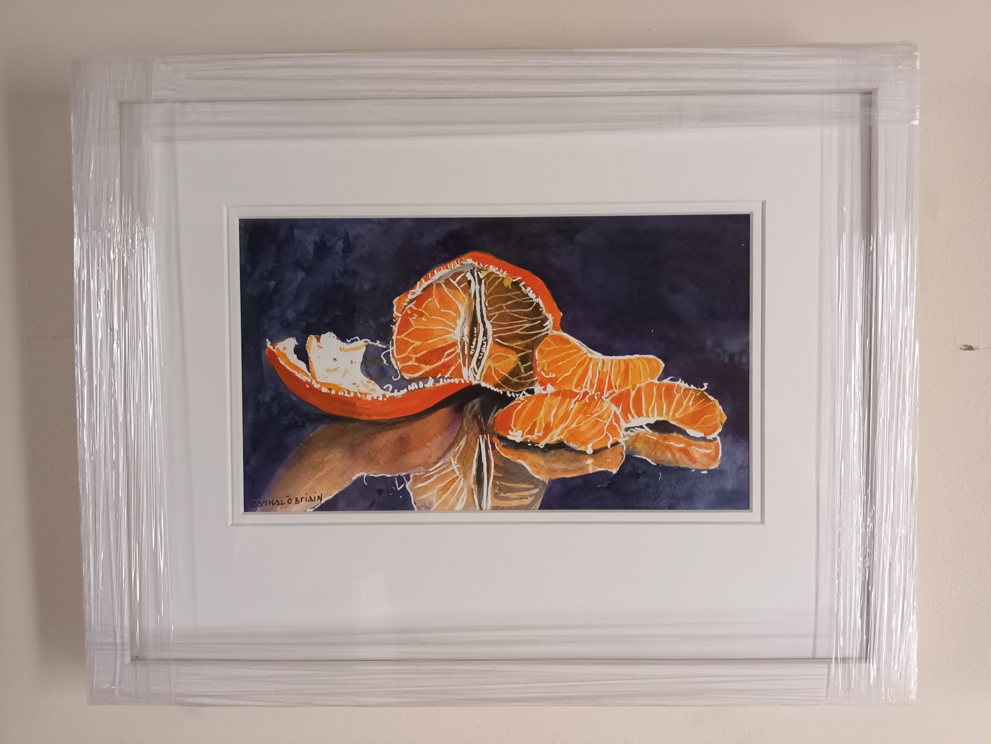 A3 Framed Original Watercolour Still Life painting of an Orange by Cathal O'Briain.