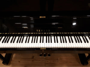 Early 1980's Yamaha U1