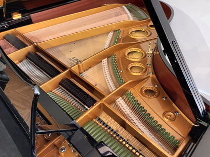 1927 Bechstein Model M (Reconditioned/88 Keys)