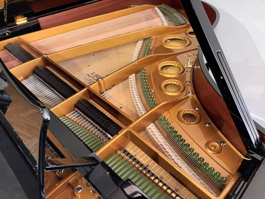 1927 Bechstein Model M (Reconditioned/88 Keys)