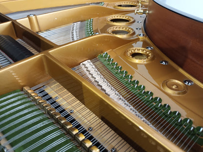 1927 Bechstein Model M (Reconditioned/88 Keys)