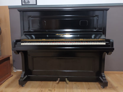 1903 Schiedmayer (Restored Cabinet)