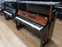 Load image into Gallery viewer, New Danemann DU-123 (Special Edition)