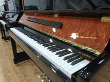Load image into Gallery viewer, New Danemann DU-123 (Special Edition)
