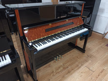 Load image into Gallery viewer, New Danemann DU-123 (Special Edition)