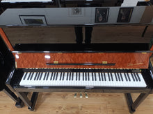 Load image into Gallery viewer, New Danemann DU-123 (Special Edition)