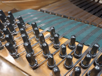 Bechstein IV (Rebuilt)