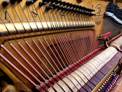 Steinway & Sons (Mint Original)