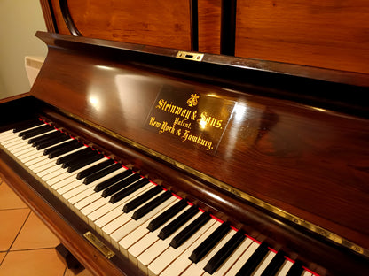 Steinway & Sons (Mint Original)