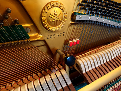 Yamaha U3 (1966)