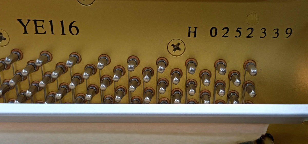 Yamaha YE116 (2012/13)