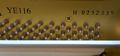 Yamaha YE116 (2012/13)