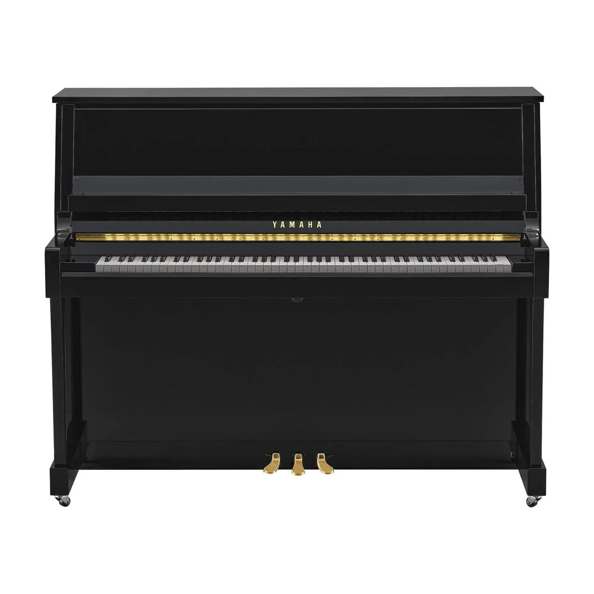 Yamaha B30 (Brass Fittings)