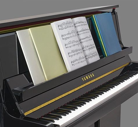 Yamaha B20 (Brass Fittings)