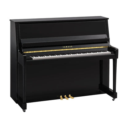 Yamaha B30 (Brass Fittings)