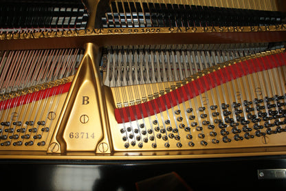 1887 Steinway Model B (Full Restoration & Rebuild)
