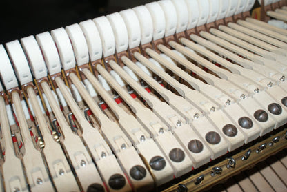 1887 Steinway Model B (Full Restoration & Rebuild)