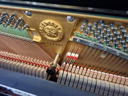 1968 Yamaha U3 (Reconditioned)