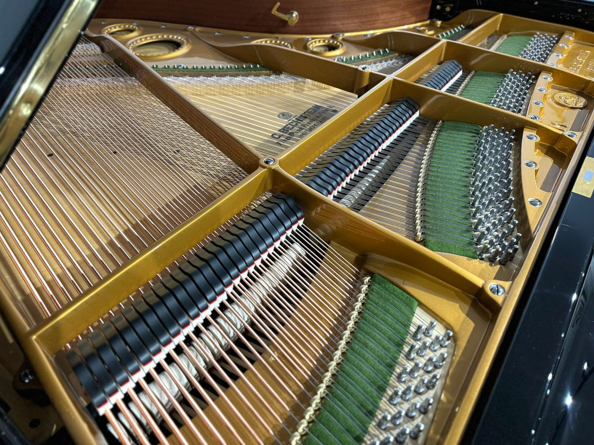 Bechstein Model M (1927)