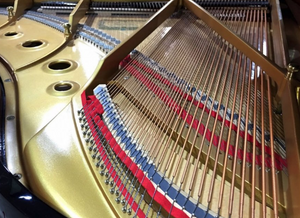Kawai NX-40 (Black/Brass Fittings)