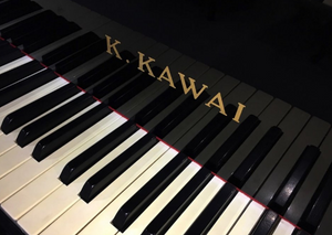 Kawai NX-40 (Black/Brass Fittings)