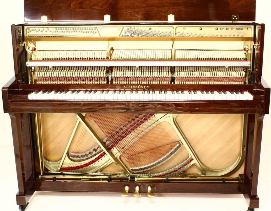 Steinhoven SU113 (Polished Walnut)