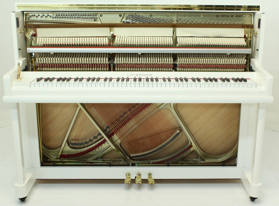 Steinhoven SU113 (Polished White)