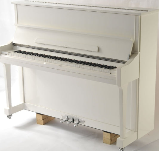 Steinhoven SU121 (Polished White)
