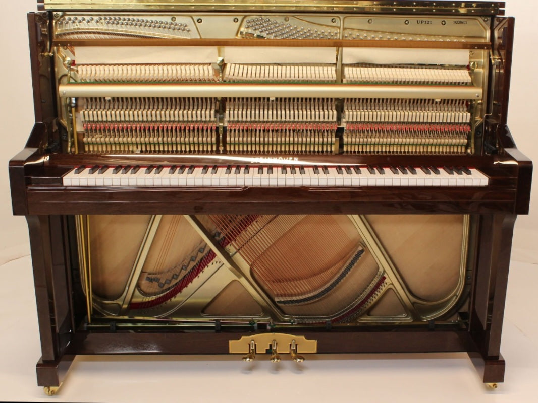 Steinhoven SU121 (Polished Walnut)