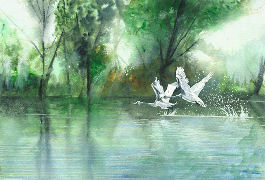 Marlay Park, Dublin (Fine Art Print) Unframed