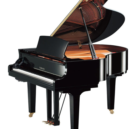 Yamaha C1X SH3 Silent