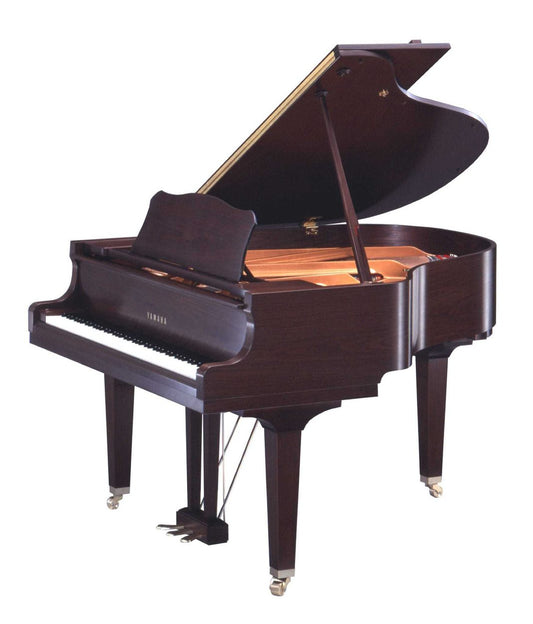 Yamaha GC1 Satin Walnut