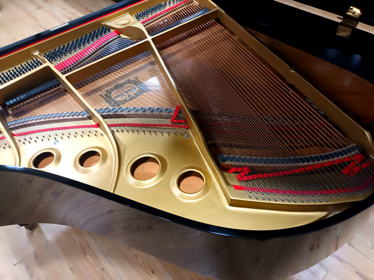 Yamaha G1 (Beginner to Advanced)