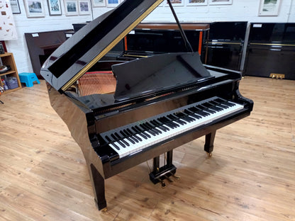 Carlmann (Beginner to Advanced)