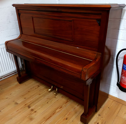 Allison (Beginner/Intermediate)