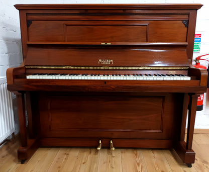 Allison (Beginner/Intermediate)