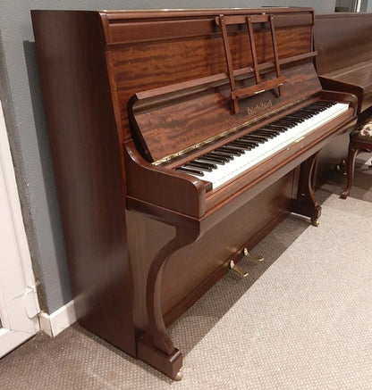 Collard (Complete Restoration)