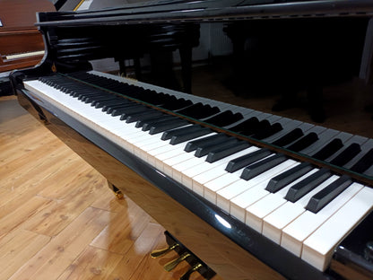 Carlmann (Beginner to Advanced)