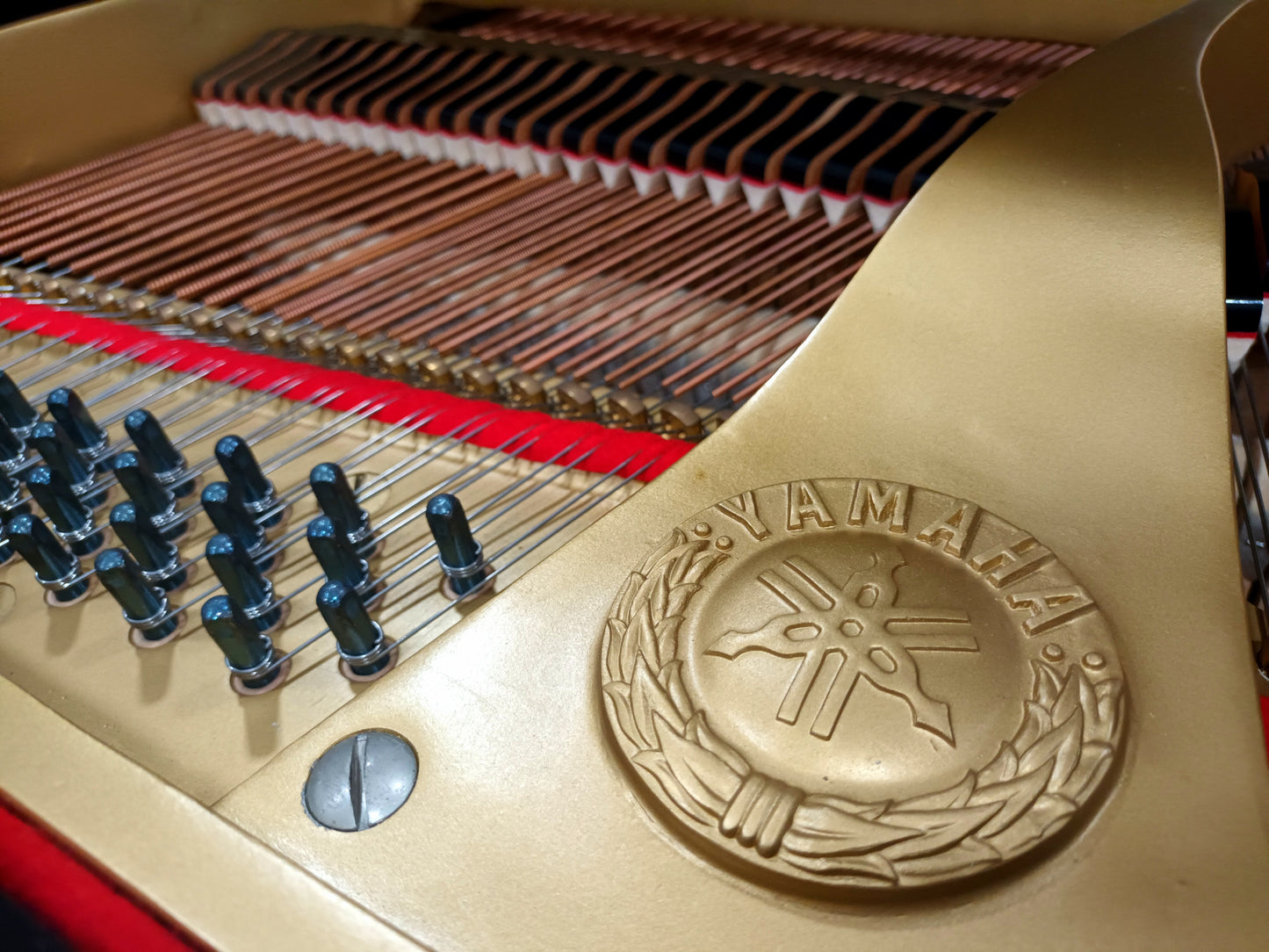 Yamaha G1 (Beginner to Advanced)